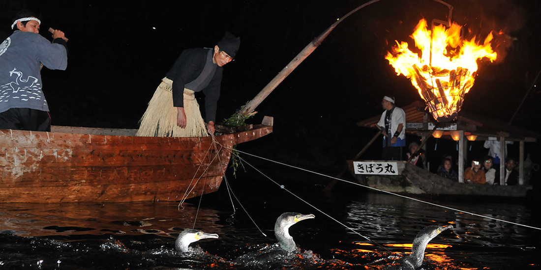 小瀬鵜飼の見どころ